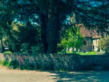 Church garden
