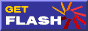 Get Macromedia Flash Player